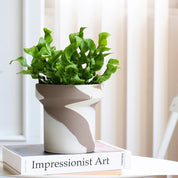 Creative Clashing Ceramic Succulent Planters