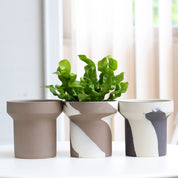 Creative Clashing Ceramic Succulent Planters